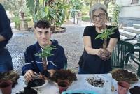 Un momento della realizzazione del Kokedama