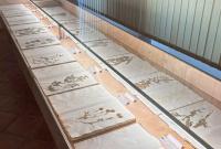 Erbario del Museo di San Pietro