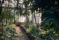 Un'area dell'Orto Botanico