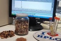 Attività di laboratorio