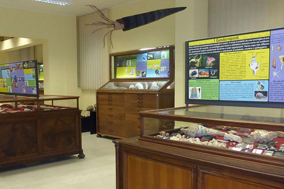 Il Museo di Paleontologia dell'Università di Catania